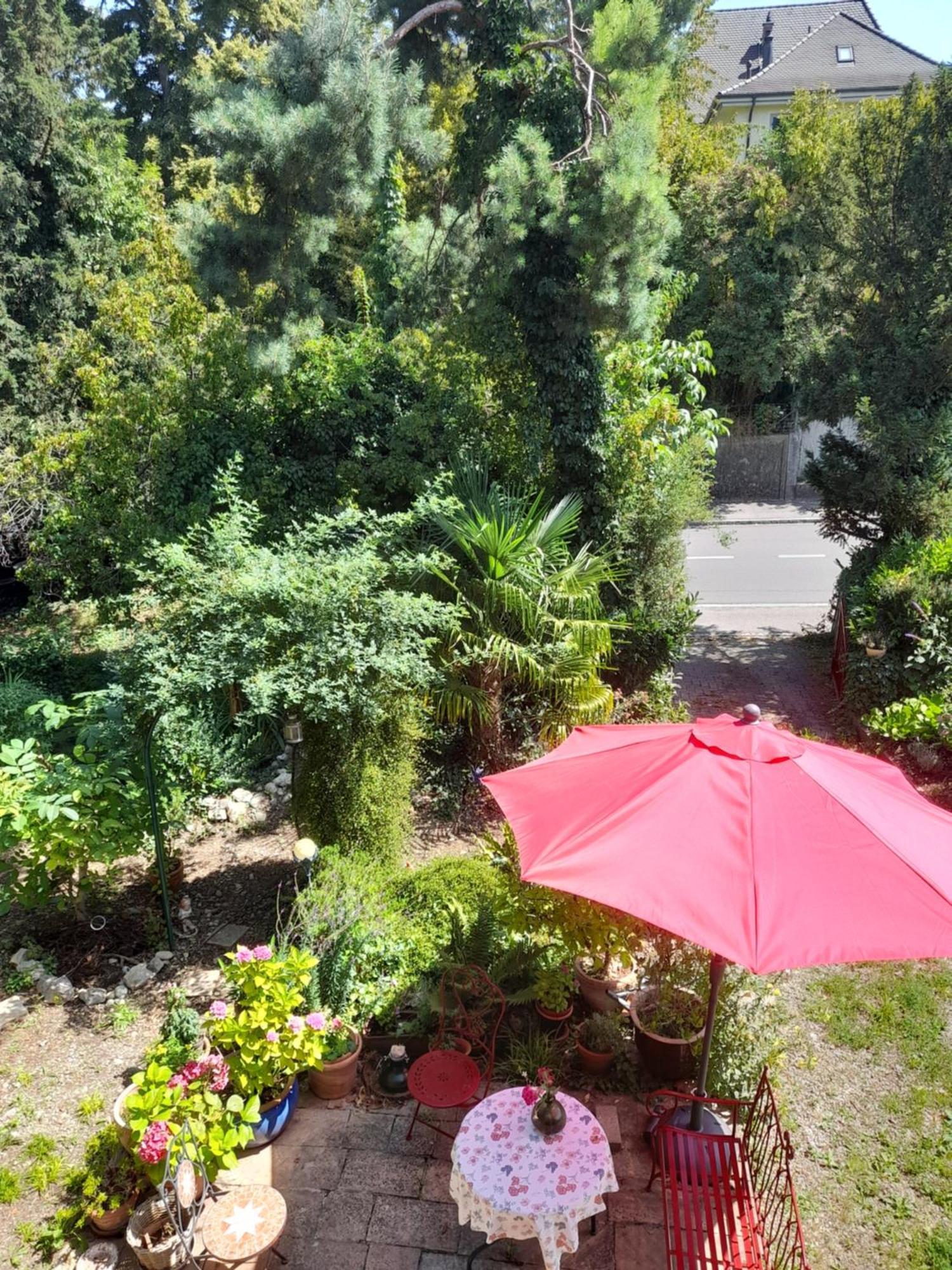 B&B am Park Rheinfelden Dış mekan fotoğraf